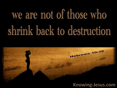 Hebrews 10:39 We Do Not Shrink Back To Destruction (black)